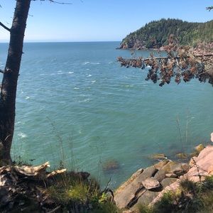 Meet your Posher, Juliette